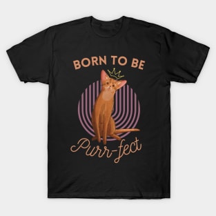 Born to be Purr-fect - Abyssinian Cat Lover T-Shirt